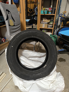 Bridgestone Turanza (1 foto / 1)
