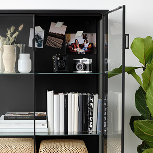 Vitriinkapp, antratsiit IKEA (4 foto / 8)