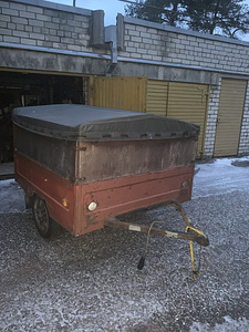 Haagis zubrenok (3 foto / 3)