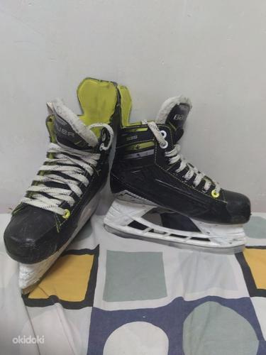 Продам хоккейные коньки BAUER размер стопы 35,5 (фото #1)