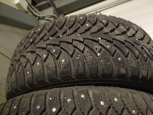 Nokian Nordman 4 (5 foto / 7)