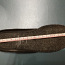 Детские зимние сапоги Geox размер 31 (20,5cm) (фото #4)