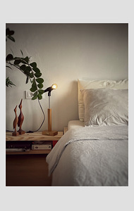 Microphone Desk Lamp (2 foto / 4)