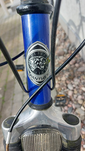 Jalgratas PANTHER (3 foto / 5)