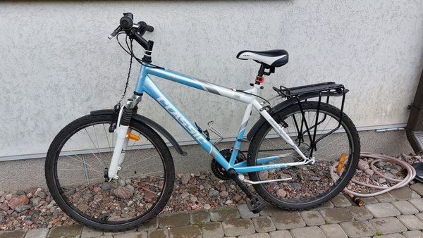 Jalgratas CLASSIC PRIMADONA