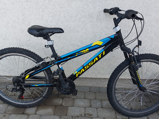 Jalgratas PASSATI