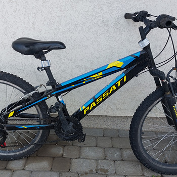 Jalgratas PASSATI