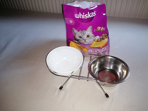 Annan ära 8-aastase kassi (3 foto / 3)