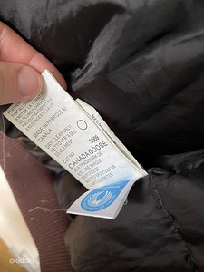 Canada goose bomber (6 фото из 8)