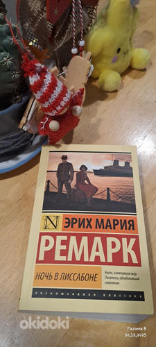 Raamat ÖÖ LISSABONIS Erich Maria Remarque