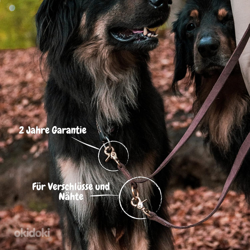 Nahast jalutusrihm 1,2x220 cm väikesele ja keskmisele koeral (foto #6)