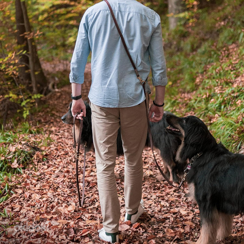 Nahast jalutusrihm 1,2x220 cm väikesele ja keskmisele koeral (foto #8)