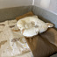 Кокон для новорожденного и одеяла (фото #3)