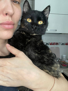 Õrn kiisu Maša peret otsimas (2 foto / 9)