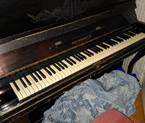 Klaver Valgevene