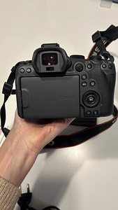 Canon R6 Mark 2 + RF 24-105mm F 4-7.1 STM (5 foto / 5)
