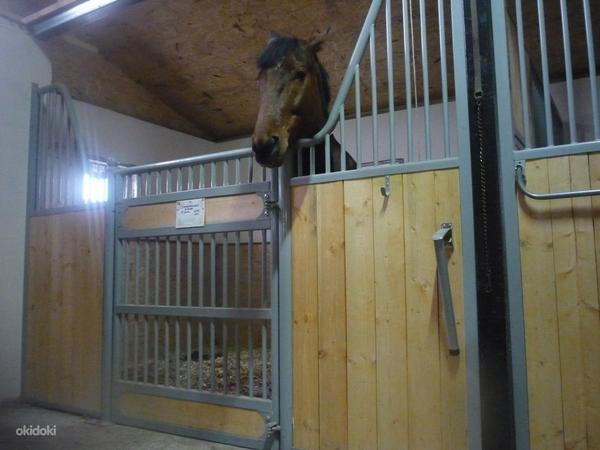 Horse stalls / latrid ja vaheseinad hobustele HOBUSTE KIOSKI (foto #1)
