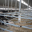 Loomakasvatusfarmide sisustus Veisefarmi seadmed (foto #5)