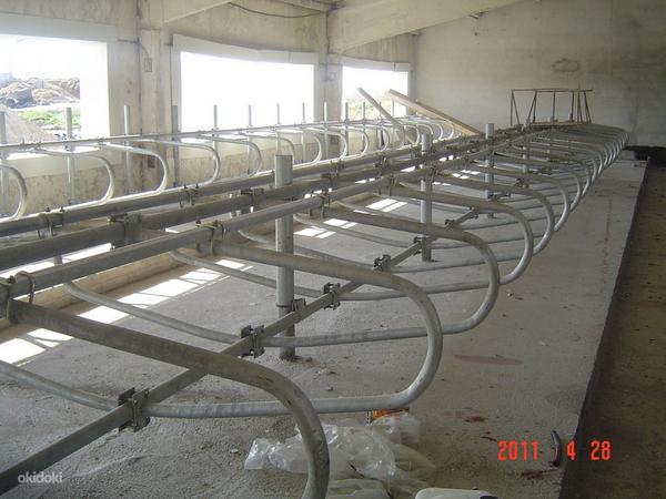 Loomakasvatusfarmide sisustus Оборудование ферм КРС (фото #9)