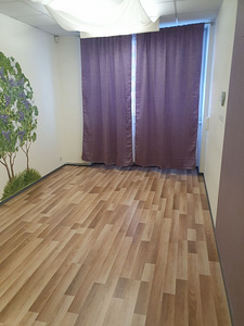 Pärnu mnt 139c, Kesklinna, Tallinn, Harjumaa (2 фото из 6)