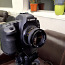 Canon 5D MKII + Canon USM 35-135 f4-5.6 (фото #3)