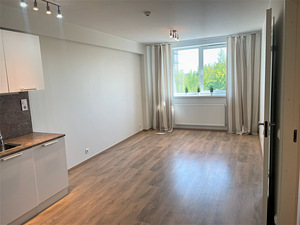 Mustakivi tee 25, Lasnamäe, Tallinn, Harjumaa (2 foto / 10)