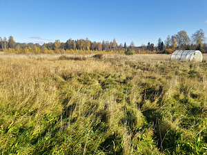 Kingu, Kaave, Jõgeva vald, Jõgevamaa (2 foto / 15)