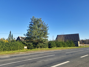 Kingu, Kaave, Jõgeva vald, Jõgevamaa (5 foto / 15)