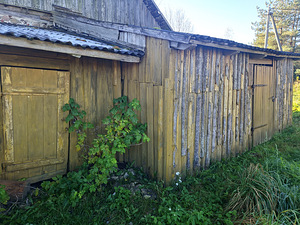 Kingu, Kaave, Jõgeva vald, Jõgevamaa (8 foto / 15)