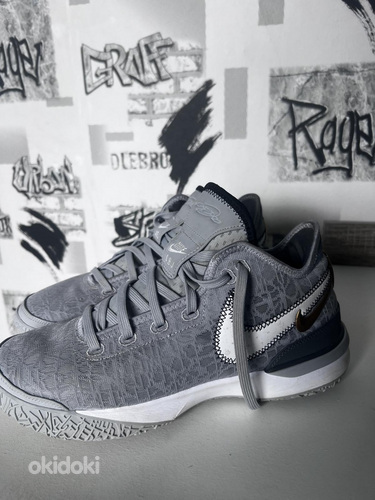 Nike Zoom LeBron NXXT Gen tossud