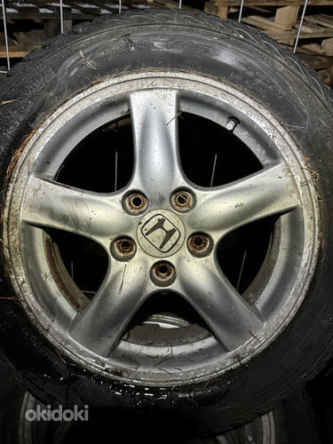 Talverehvid 205/55/R16