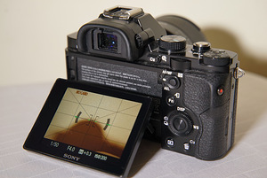 Sony A7 (2 фото из 4)