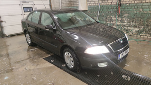 Škoda octavia (11 фото из 13)