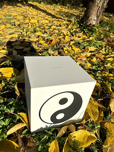 Maagiline yin-yang rahakassa (4 foto / 5)