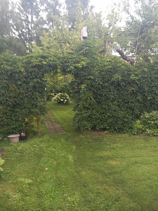 Puhkekodu tee 42, Pirita, Tallinn, Harjumaa (14 фото из 16)