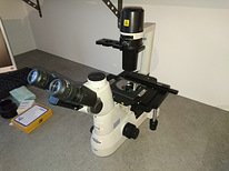 Микроскоп Nikon Eclipse TS100