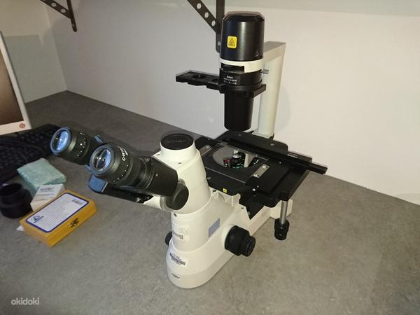 Микроскоп Nikon Eclipse TS100 (фото #1)