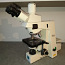 Mikroskoop Carl Zeiss Axioskop (foto #1)
