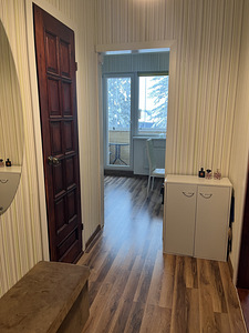 Müüa renoveeritud 1-toaline korter Vaidas (2 foto / 8)