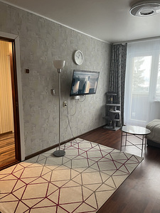 Müüa renoveeritud 1-toaline korter Vaidas (7 foto / 8)
