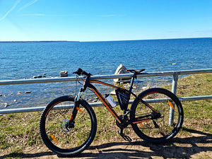 Jalgratas Scott Aspect 970 (2 foto / 4)