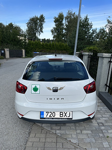 Seat Ibiza 2013a (6 foto / 9)