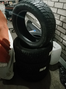 225/55/17 Dunlop (1 фото из 1)