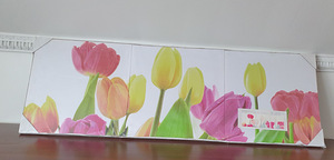 Maal 118 x 39 cm (1 foto / 1)