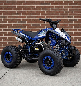 ATV 125cc Новый (1 фото из 1)