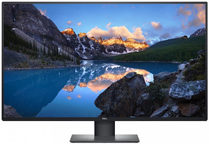 Dell UltraSharp U4320Q (1 foto / 1)