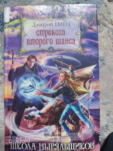 Книга Стрекоза второго шанса