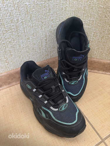 Puma tossud