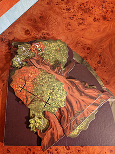 Everdell lauamäng vene keeles (4 foto / 5)