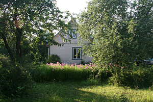 Lääne tn 6, Jõhvi, Jõhvi vald, Ida-Virumaa (3 фото из 4)